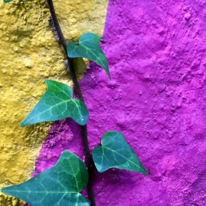 green leaf on purple textile