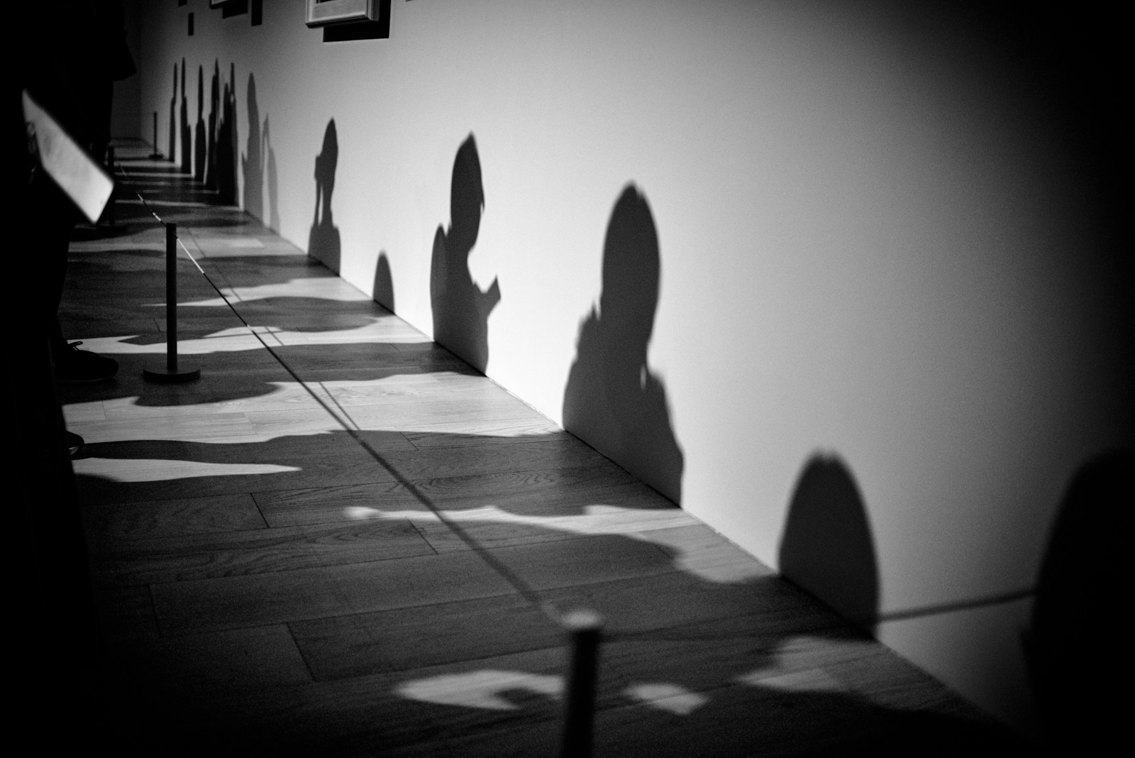 Shadows cast on a wall in a hallway.