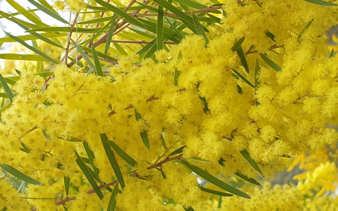 Soirée Skydancing Tantra « Douceur et Intensité » à NICE